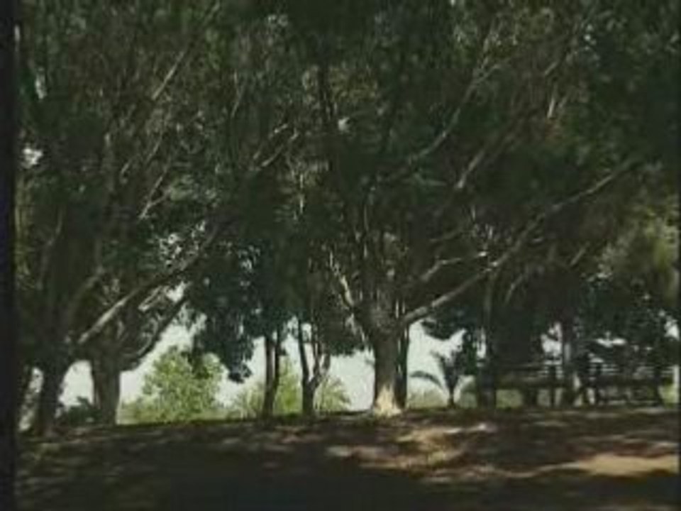 Il seme della vita