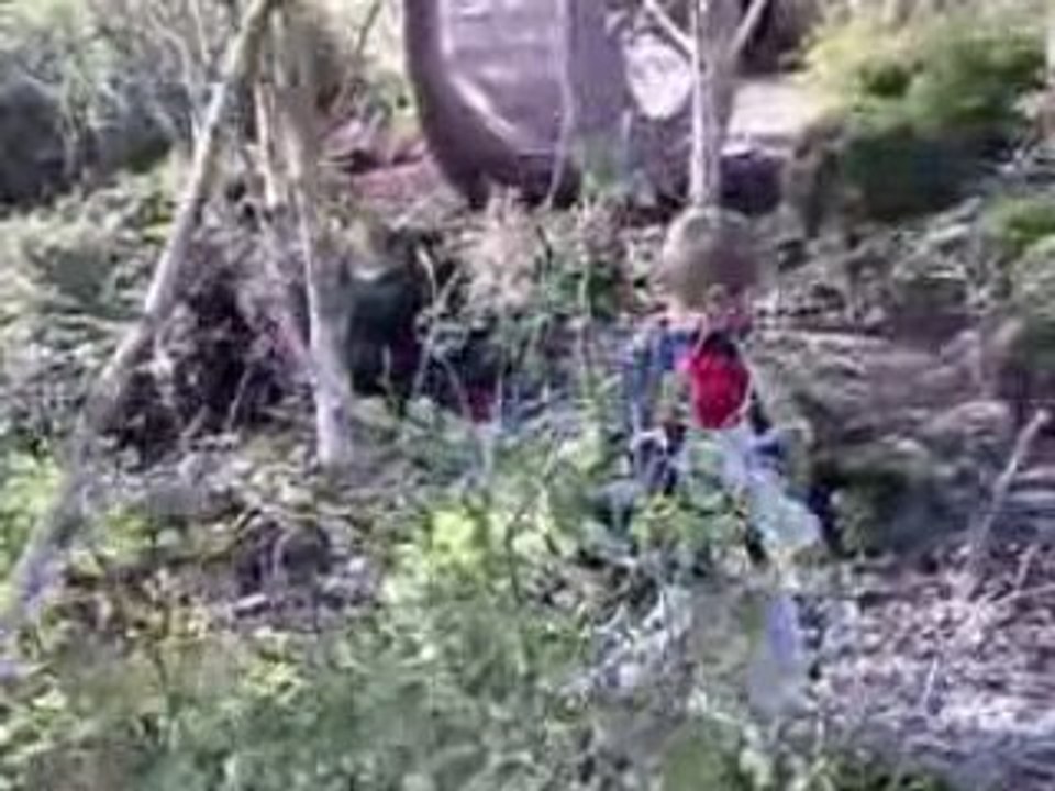 Danfoss universe,danmark ...speaking stones