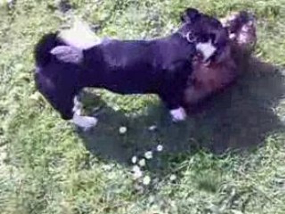 Warmup Pelle u.Toni ...