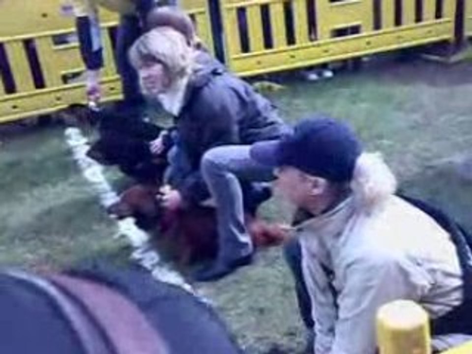 dackelrennen,itzehoe april 2008