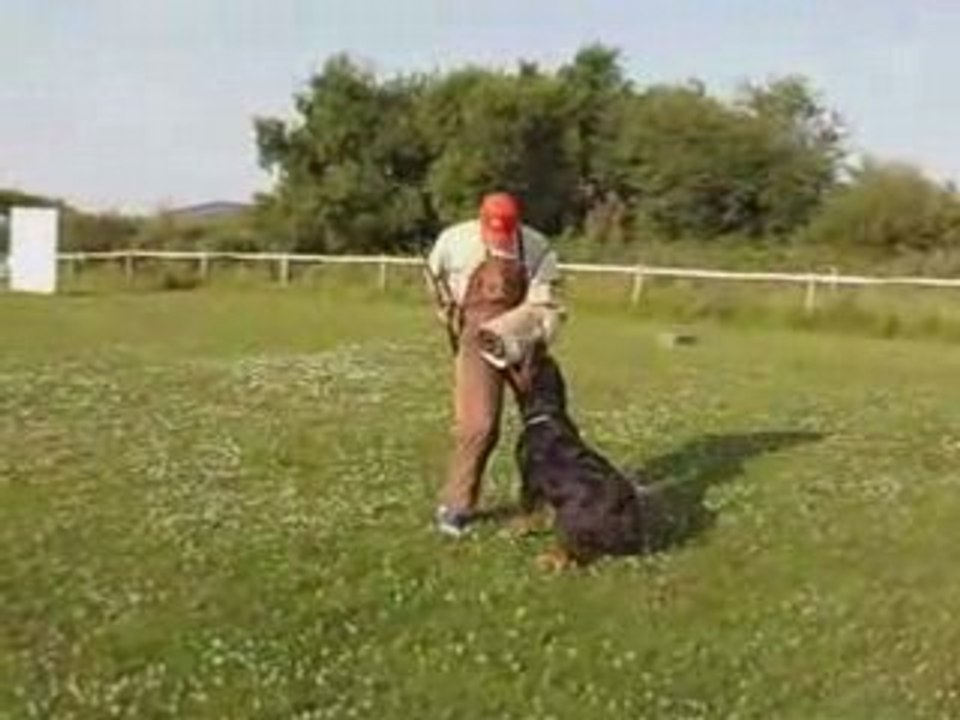 Fuyante et conduite de côté