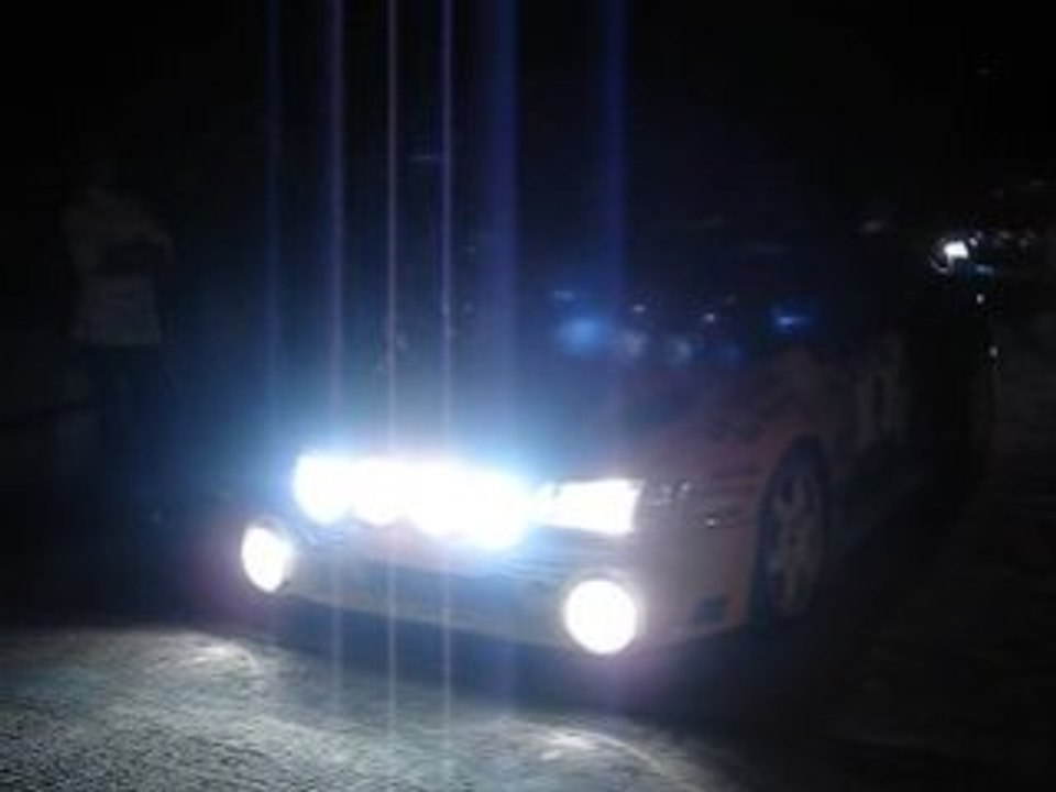 mégane maxi