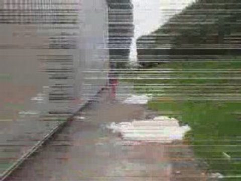 Ahaha. Les mongoles.