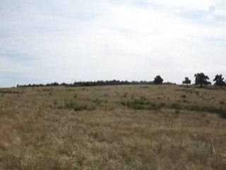 Chanel caline chistera 015