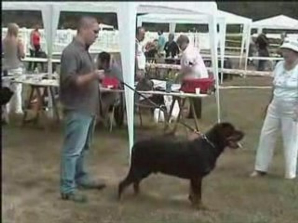 Exposition canine de Tours le 27.07.2008 (Brutus)