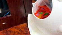 Curious Lovebird Explores a Tiny Space 🐦😂  Cute Bird Adventure