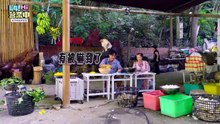 Hi_20261003_S713_2