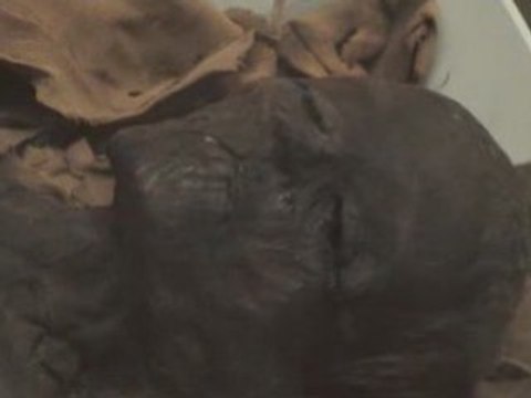 british museum london uk