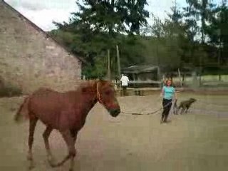 Amélie longe passiko