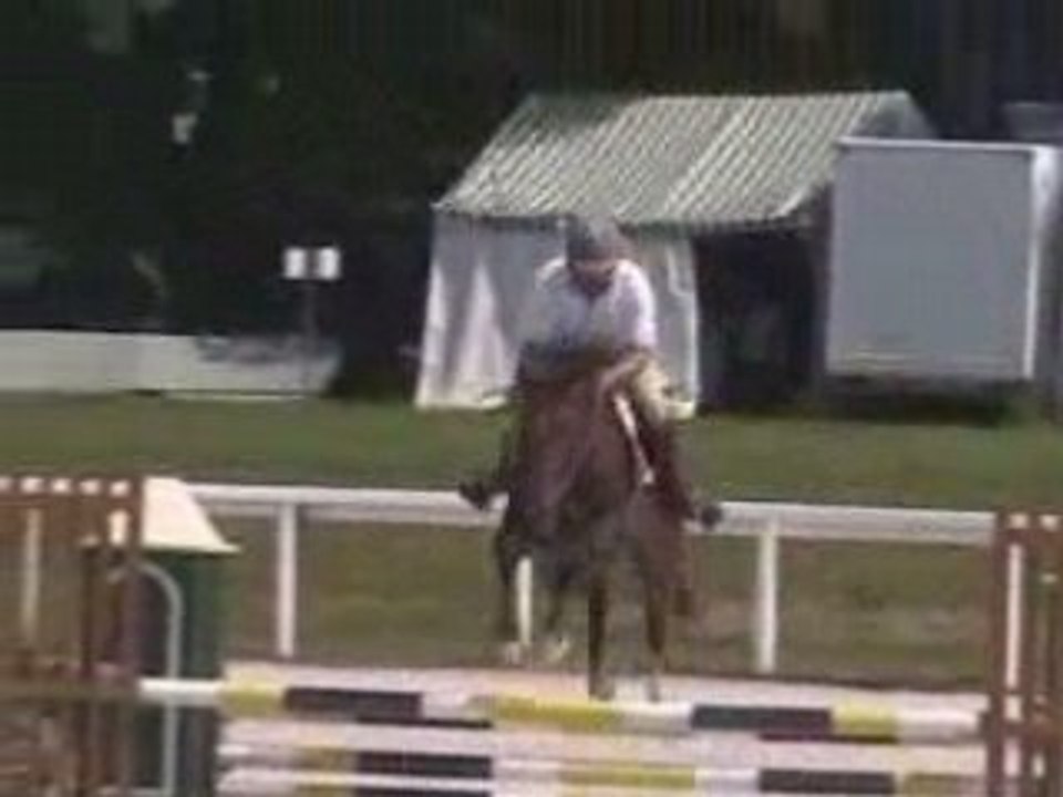 Elcaro 4ans Le Lion 17 juin 2008