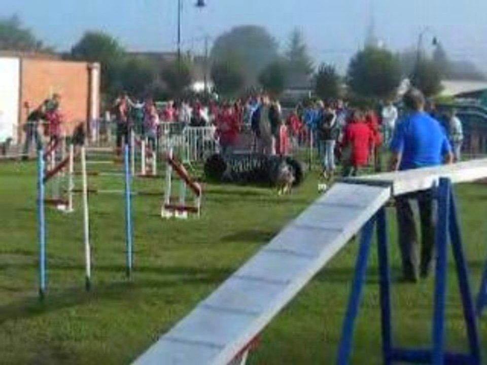 Beaurainville agility Umi christal des forges de thor