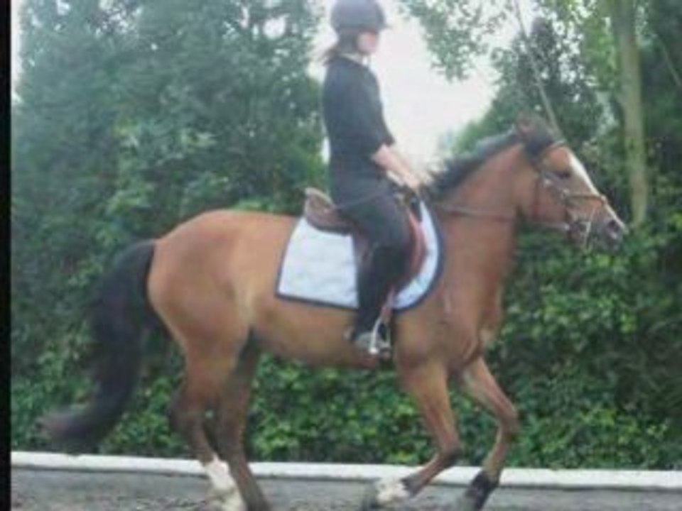 Photorécit2 quiqui jtm