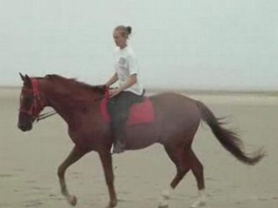 Vacance Apercu Baie de somme plage