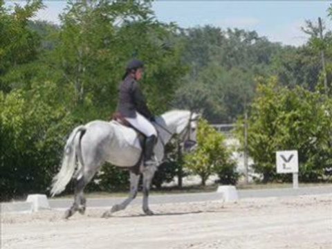 LAMOTTE CCE CLUB 2 MEUMEU DRESSAGE