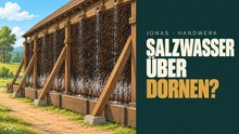 Gradierwerk: Warum Salzwasser über Dornenzweige rieselt
