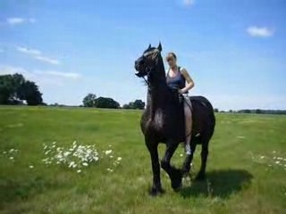 Ivar se met en colère : un moment inattendu et amusant ! 😲