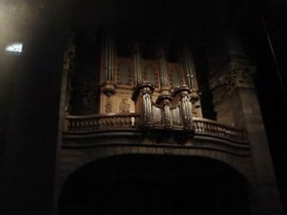 Sonata Carlos Seixas 1704-1742 et Menuet alternativ Johann N