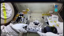 How Plants Are Being Grown In Space By Shenzhou 14 Astronauts: Knowledge