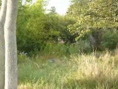 La Mothe Saint Héray