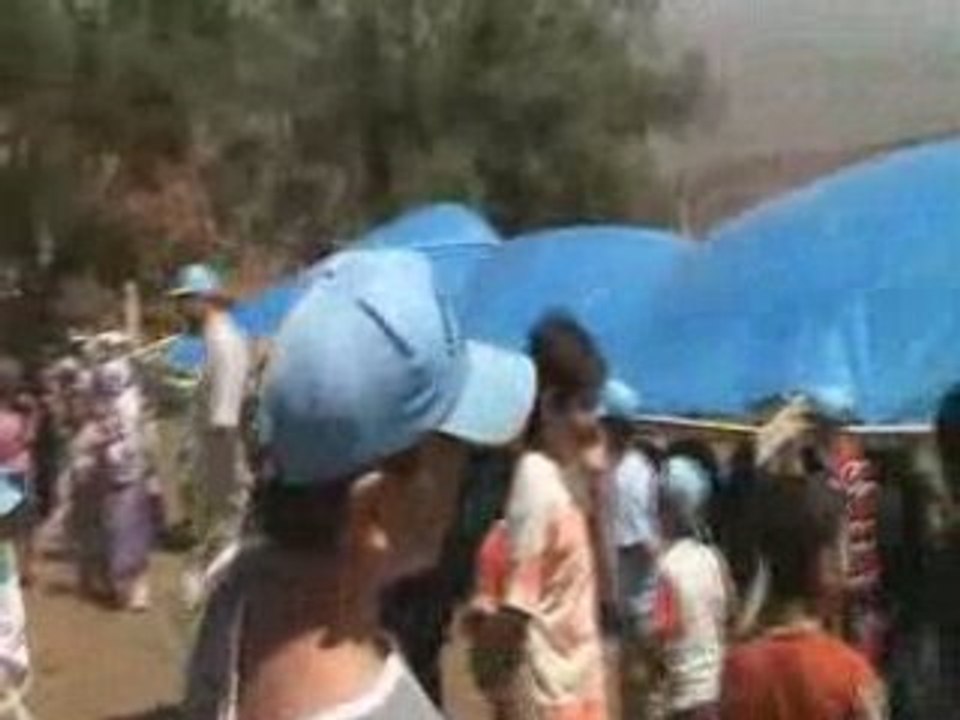 Büyükler yumurta yarısı