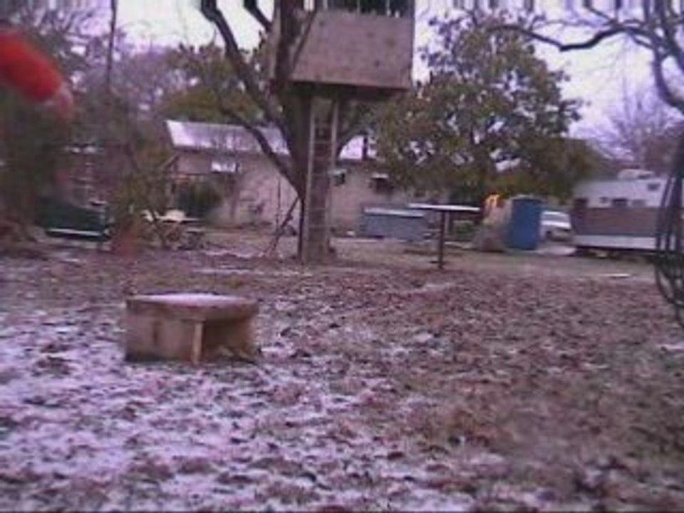 Snowskate