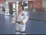 Faixa Preta 3 dan em Taekwondo WTF e STF (ATA) / ...