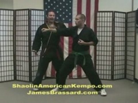 Martial Arts Shaolin Kempo Karate Combination/dm 3-GM Jim Brassard