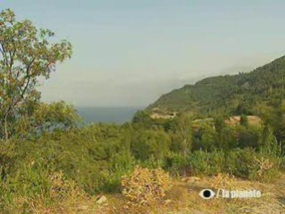 Un oeil sur la planete Partie 2