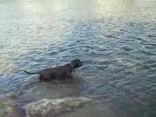 les vancances de coka