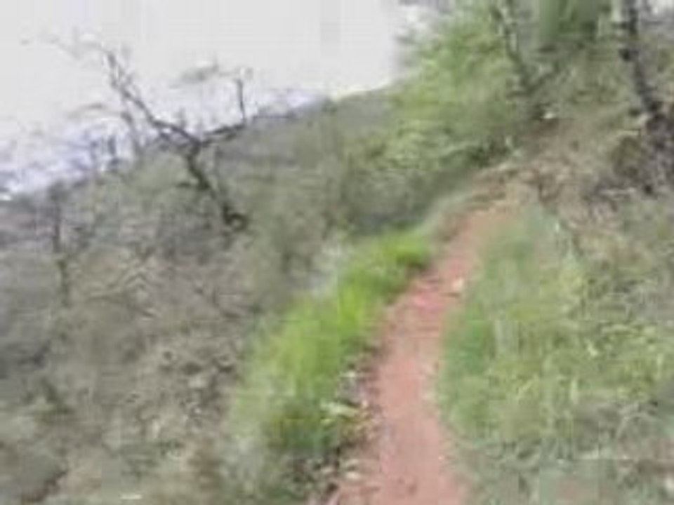 descente vtt lollott
