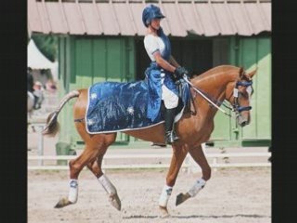 OPEN de France 2007 Lamotte Beuvron - Dressage RLM_0001