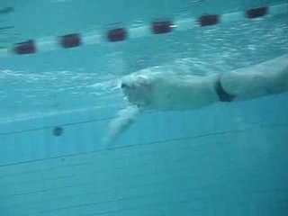 Analyse technique crawl n°2