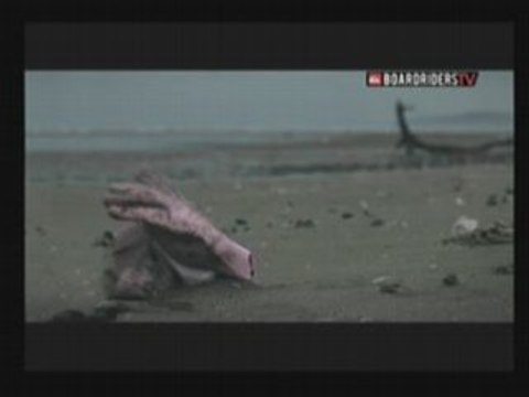 Pub surfrider foundation