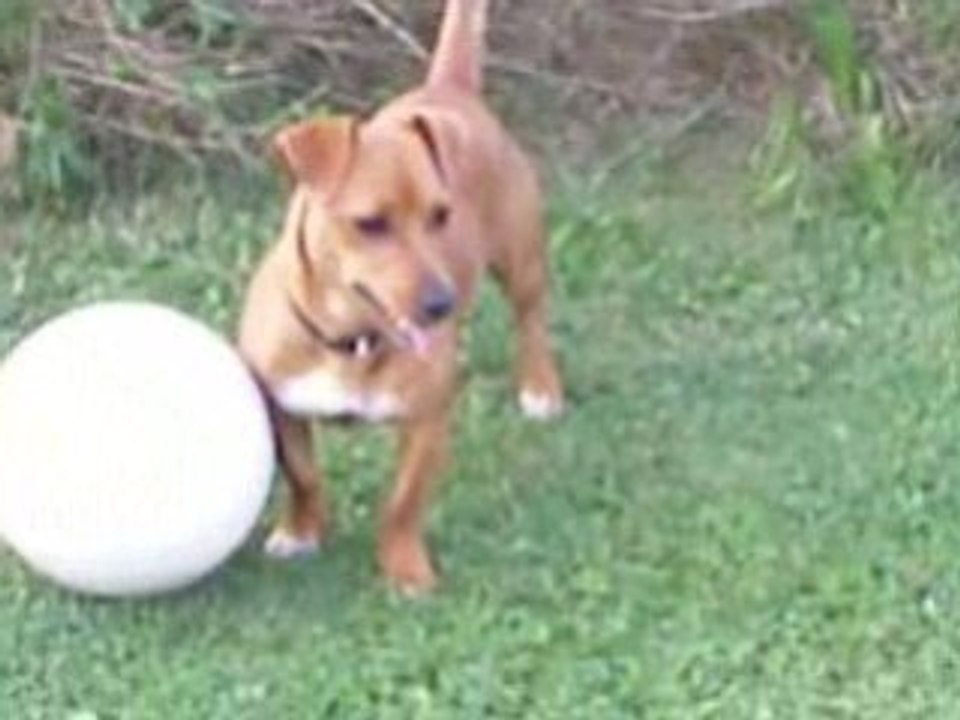 Cassy fait Messi