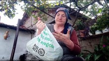 Kışlık Yeşil Fasulye Nasıl Saklanır?
