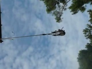 saut à l'élastique