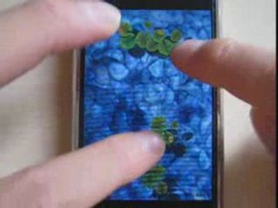 Koi Pond v2.0 sur iPhone