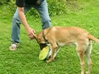 Caramelle dans le jardin2