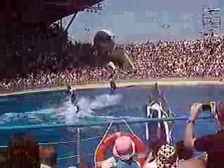 Marineland