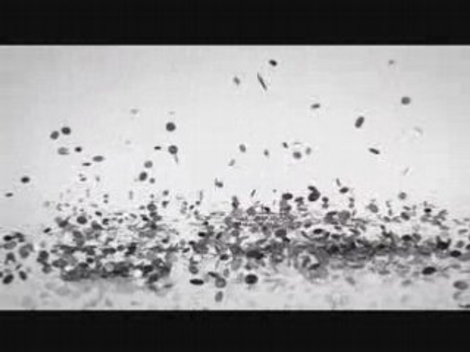 BMW Impact