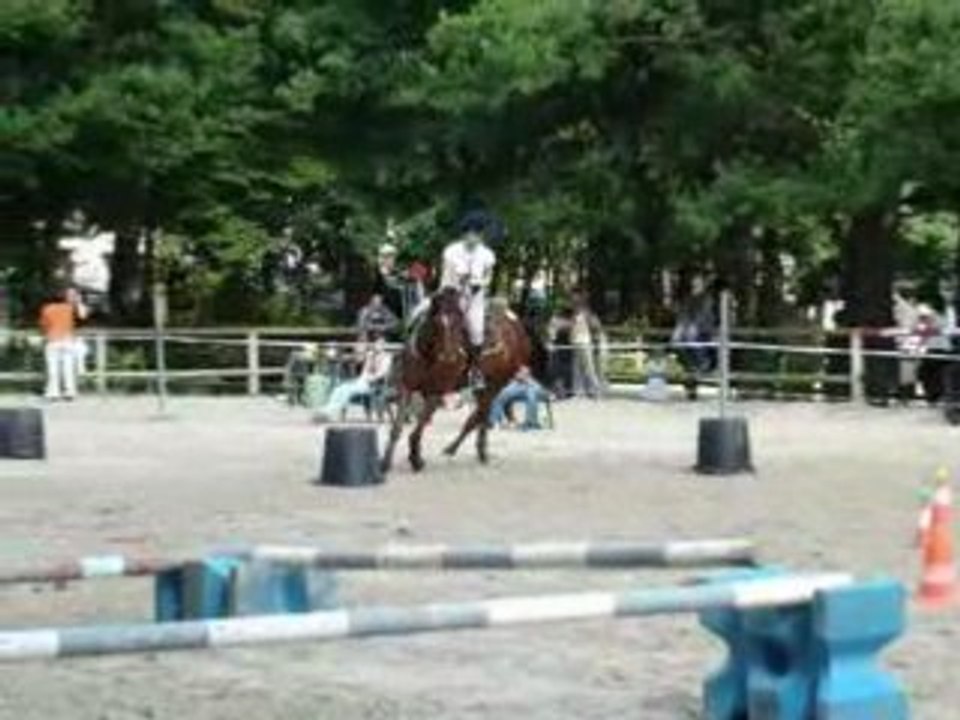 Elle t'adore et moi : 1ere compet d'équifun