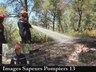 Feu de forêt à velaux