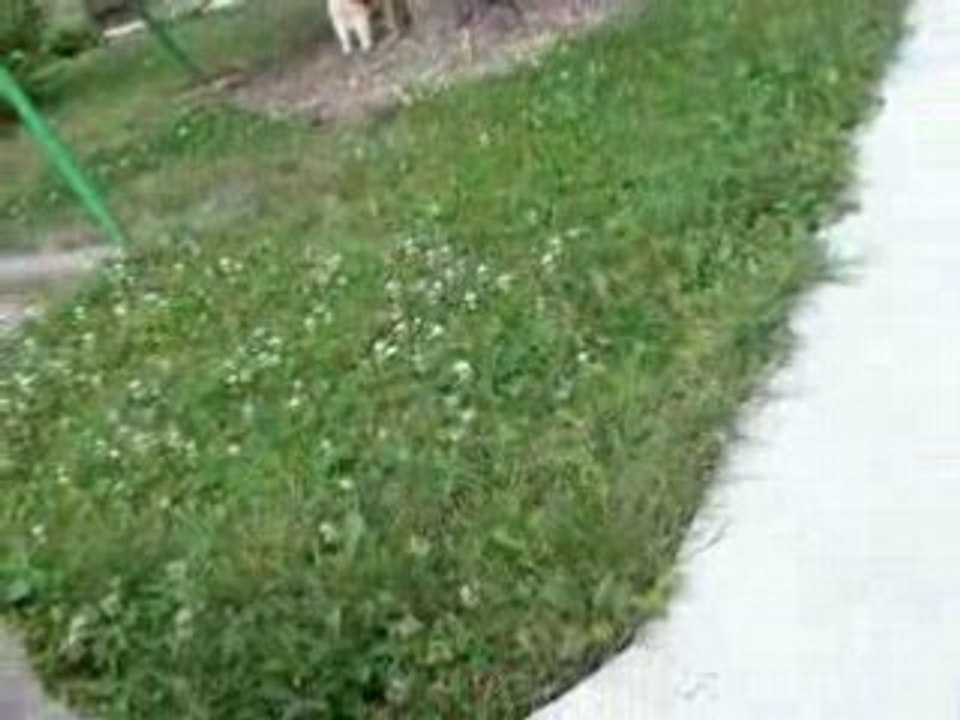 Lucky
