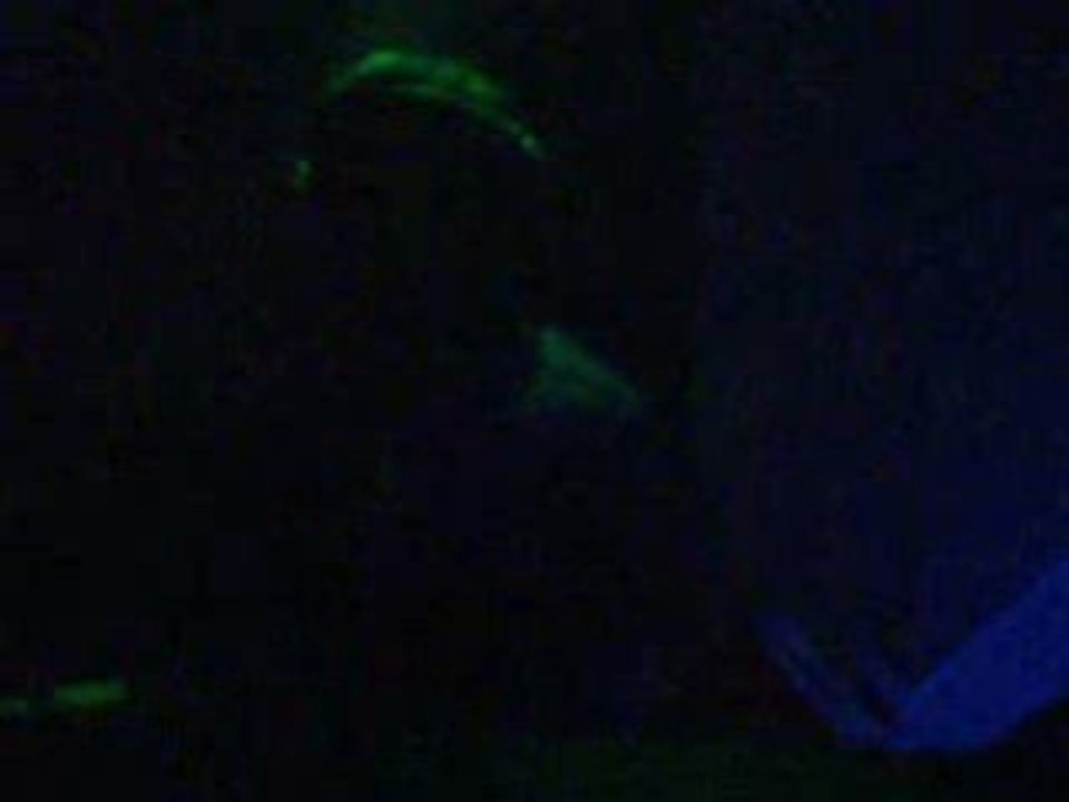 Michael Lieb @ Tikal - Mainz (ffm) 12.07.2008