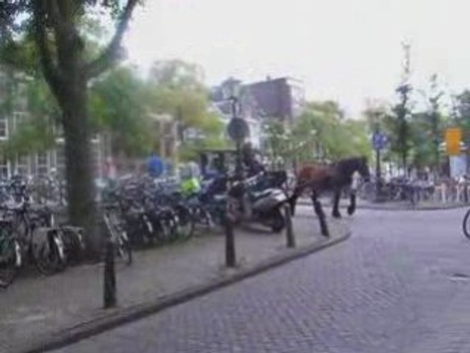 BENELUX 18