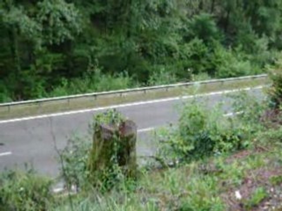 Courses de cotes St Ursannes (Suisse)