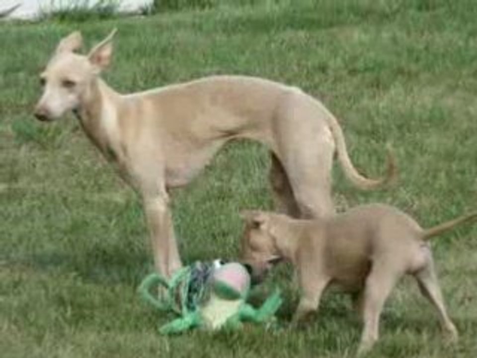 un peu de sport