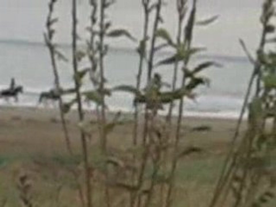 ma cousine au galop sur la plage