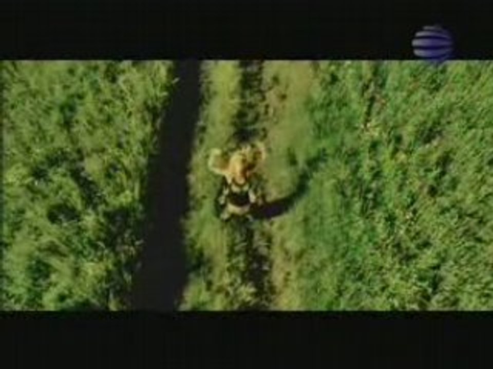 Kamelia-Useshtam te oshte