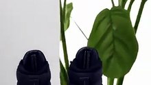 Блич Москва, химчистка кроссовок Adidas, чистка обуви и замена шнурков рядом в Москве